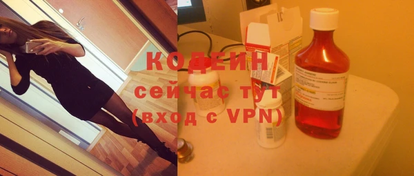 ешки Дмитриев
