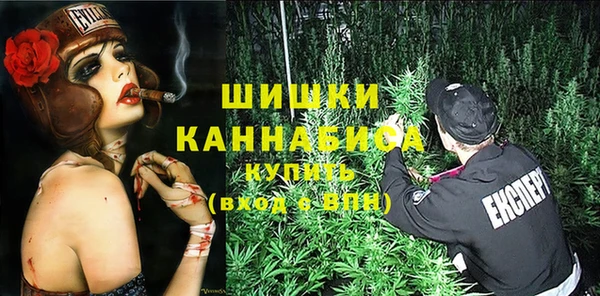 ешки Дмитриев