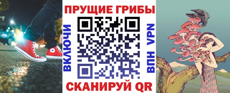 Купить где  Кандалакша  Псилоцибиновые грибы Magic Shrooms 